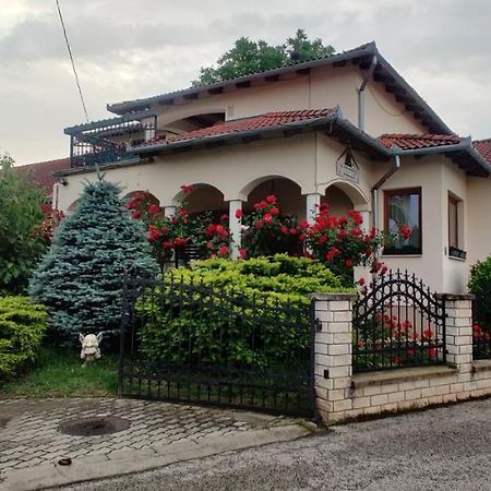 Aurora Haz Apartment Zalakaros Luaran gambar