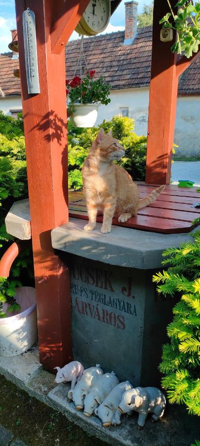 Aurora Haz Apartment Zalakaros Luaran gambar
